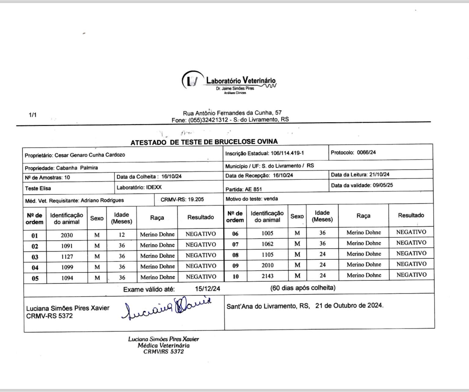 Imagem 1